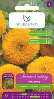 Sėklos saulėgrąža TEDDY BEAR, 2 g