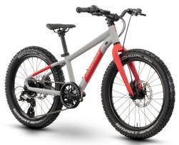 Vaikiškas dviratis, vaikų Raymon Yanga 20 Pro, raudona sp./pilka sp., 20"
