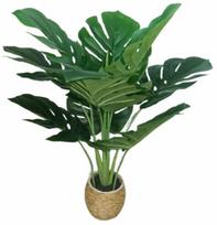 Dirbtinis augalas vazone Homla Monstera, žalia sp., 60 cm