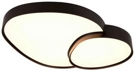 Šviestuvas lubų Trio Rise 647519232, LED, 2700 - 6500 °K, 1 x 45 W, balta sp. / juoda sp.