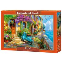 Dėlionė Castorland Coastal Life 105465, 47 cm x 68 cm, 1000 vnt., įvairių spalvų