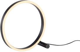 Stalinis šviestuvas Paul Neuhaus Ritus, LED, 11.5W, balta sp./antracito sp.