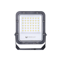 Prožektorius be judesio daviklio, montuojamas ant paviršiaus Forever Light Proxim, 30 W, 4500 lm, 6500 °K, IP65, juoda sp.