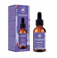 Aromatinis aliejus La Casa De Los Aromas Lavender, 30 ml Violetinė sp.