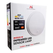 Sieninis lauko šviestuvas Maclean Pir, 10W, LED, IP65, balta sp., 21 cm x 4.5 cm