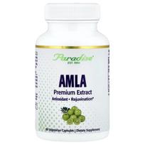Paradise Herbs Amla Extract Veggie Capsules, 60 Count 60 pcs - 1 ea