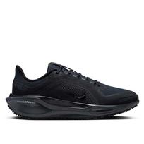 Nike Pegasus 41 GTX Women's