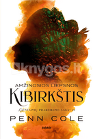 Amžinosios Liepsnos kibirkštis (knyga su defektais)