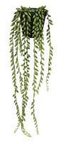 Dirbtinis augalas vazone Splendid Senecio, žalia sp., 52 cm