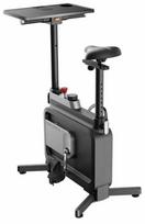 Dviratinis treniruoklis Kingsmith W1B