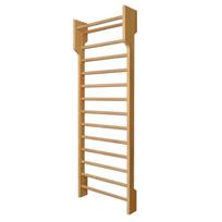 Gimnastikos sienelė Massan Sport Honey Tree 10805670, 200 cm