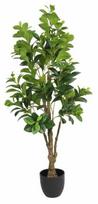 Dirbtinis augalas vazone Splendid Money Tree, žalia sp., 130 cm x 18 cm
