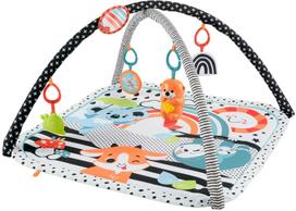 Aktyvumo kilimėlis Mattel Fisher Price 3in1 JMN72, 76 cm x 76 cm, įvairių spalvų