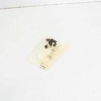 VAG VW Polo 6R Dešinės Pusės Žibintų Plovimo Purkštukas 6R0955104A NAUJAS ORIGINALUS