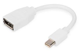 Digitus DisplayPort cable, mini DP - DP St./Bu. 0.15m white