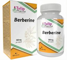 Tulip BioPharma Berberine Extract 120 kaps.