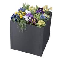 Pakelta lysvė S sodui arba balkonui | 50 x 50 x 50 cm | DB 703 Blizgi geležis