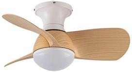 Lubinis ventiliatorius su lempa CristalRecord Epona CCT, 20 W, 1 vnt.