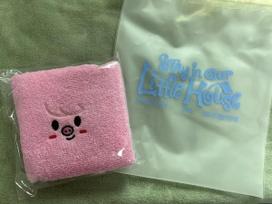 STRAY KIDS Fan Meeting Admission Gift: Changbin Pig Towel & Zipper Bag