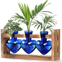 3pcs Blue Heart Shaped Propagation Stations Plant Terrarium with Wooden Stand Plant Propagation Station Hydroponics Plants Office Garden Home Decor mėlyna