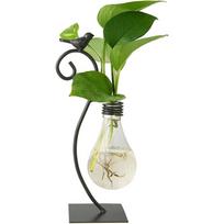 1 vnt. Stalo stiklinis vazonas Hidroponikos vazonas Vazonas lemputė su laikikliu namų dekoravimui Modernus kūrybiškas paukščių augalų terariumo stovas Bulb Vase
