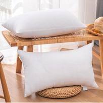 Prabangus penkių žvaigždučių viešbučio plunksnų ir pūkų pagalvių rinkinys - Nemokamas pristatymas ir dovana įskaičiuota 42*70cm 400g Ultra Low Pillow