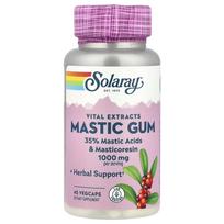 Solaray Mastic Gum 1000mg (500mg per capsule) Veggie Capsules, 45 Count 45 pcs - 1 ea