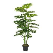 Dirbtinė monstera (aukštis 120 cm) Philodendron – Bizzotto