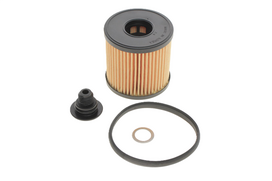 Alyvos Filtras Hyundai Elantra Kona Sonata Hibridas 26300 26300 0K011