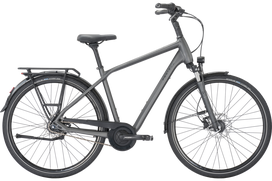Dviratis 28" Pegasus Strong SL Disc 8g vyr. Pilkas