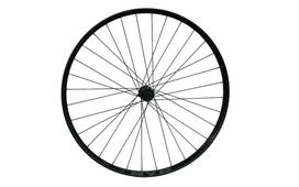 Ratas galinis 29" Tryp 30 EVO QR Center Lock FH