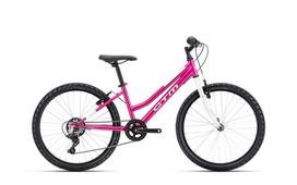 Dviratis Mony 24"