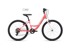 Dviratis Missy 24"