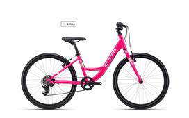 Dviratis Missy 24"
