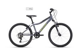 Dviratis Berry 24"
