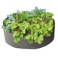 Auginimo maišas daržovėms ir vaisiams, pilkas, 57 l (15 gal)
