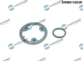 Dr.Motor Automotive Tarpiklių rinkinys, alyvos aušintuvas DRM611003R