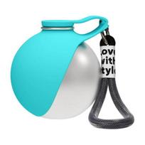 Foldable Dog Water Bottle Portable Pet Water Dispenser with Silicone Bowl Stainless Steel Bottle Travel Water Bowl for Outdoor Walks
