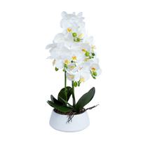 Orchidėja sode H68cm baltas vazonas