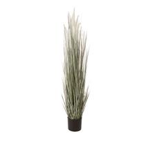 Dirbtinis augalas GREENLAND H120cm vazone
