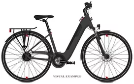 Elektrinis dviratis Tabou Mono UP ECO Plus 26 anthracite-red-16"