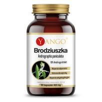 YANGO Brodziuszka – Andrographis (90 kap.)