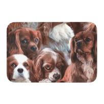 Dabbing Cavalier King Charles Spaniel Dab Dance Front Door Mat Anti-Slip Indoor Absorbent Dog Doormat Room Entrance Rug Carpet 40x60cm