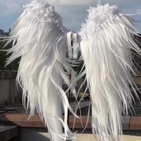 Angelų sparnai cos sparnai arkangelų sparnai standard balta
