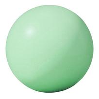 25cm Soft Pilates Ball 10Inch Exercise Ball Gym Ball for Yoga, Pilates, Core Training, Physical Therapy and Balance žalia