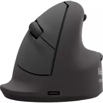 Fellowes 100143582 kompiuterio pelė Universalus Dešinės rankos Bluetooth + USB Type-C Optinis 2400 DPI
