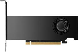 NVIDIA RTX 2000 Ada - Graphics cards - NVIDIA RTX 2000 Ada