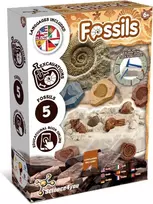 Mokslo rinkinys - Kasinėjimai - Fosilijos