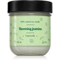 Tropicandle Green Tea kvapioji žvakė 170 ml