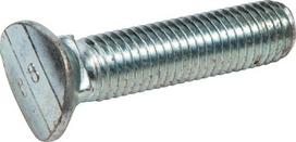 Varžtas M12x55 100323321